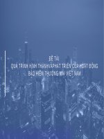 Tiểu Luận Bảo Hiểm Thương Mại Đề Tài Quá Trình Hình Thành Và Phát Triển Của Hoạt Động Bảo Hiểm Thương Mai Việt Nam.pptx