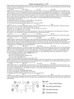 Vận dụng chương 2 sinh học 12