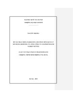 Luận văn hoạt động marketing cho phần mềm quản lý bán hàng shop one của tổng công ty giải pháp doanh nghiệp viettel
