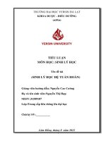 Sinh lý hệ tuần hoàn