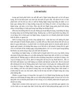 Tieu luan quan tri rui ro tin dung tai ngan hang tmcp a