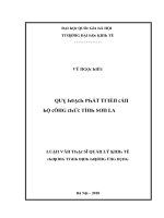 Luận văn quy hoạch phát triển cán bộ công chức tỉnh sơn la