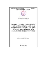 Nghiên cứu điều trị ung thư phổi không tế bào nhỏ giai đoạn IIIB, IV bằng hóa trị phác đồ cisplatin kết hợp với paclitaxel hoặc etoposide