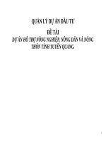 Tiểu luận  - Quản Lý Dự Án Đầu Tư - Đề Tài - Dự Án Hỗ Trợ Nông Nghiệp, Nông Dân Và Nông Thôn Tỉnh Tuyên Quang.