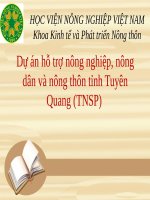 Tiểu Luận - Quản Lý Dự Án Đầu Tư - Đề Tài : Dự Án Hỗ Trợ Nông Nghiệp, Nông Dân Và Nông Thôn Tỉnh Tuyên Quang