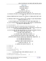 BÁO CÁO ĐÁNH GIÁ TÁC ĐỘNG MÔI TRƯỜNG DỰ ÁN NHÀ MÁY LOTES THÁI THỤY VIỆT NAM  GIAI ĐOẠN 1  : Dự án thuộc nhóm dự án sản xuất linh kiện điện tử