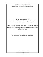 Tiếp cận tài chính toàn diện của doanh nghiệp nhỏ và vừa tại việt nam – nghiên cứu dựa trên bộ chỉ số g20