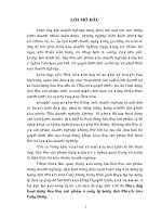 Tieu luan van de thuc day hoat dong tieu thu san pham o