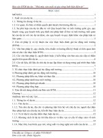 Báo cáo ĐTM dự án “Nhà máy sản xuất và gia công linh kiện điện tử” Công ty cổ phần Vinahan Bắc Giang