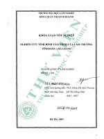 Nghiên cứu tình hình tài chính của lâm trường vĩnh hảo   hà giang