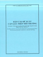 Báo cáo đề xuất cấp GPMT của Dự án “Nhà máy sản xuất vật liệu phủ bề mặt, dung môi và mực Mapin Việt Nam”. Đc: Lô CN5.5E, Khu công nghiệp Đình Vũ, thuộc Khu kinh tế Đình Vũ – Cát Hải, phường Đông Hải 2, quận Hải An, thành phố Hải Phòng, Việt Nam