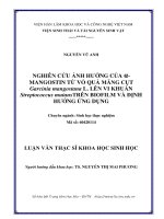 (Luận văn) nghiên cứu ảnh hưởng của a mangostin từ vỏ quả măng cụt (garcinia mangostana l ) lên vi khuẩn streptococcus mutans trên biofilm và định hướng ứng dụng