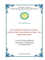 (Luận văn) quản trị rủi ro tín dụng tại ngân hàng thương mại cổ phần quân đội – chi nhánh tiền giang