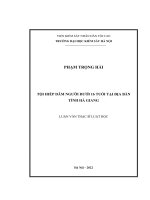 Luan van thac si pham trong hai 20230331015542 e 5241