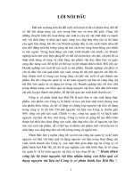Hoàn thiện công tác kế toán nguyên vật liệu nhằm nâng cao hiệu quả sử dụng nguyên vật liệu tại công ty cổ phần bánh kẹo hải hà 1