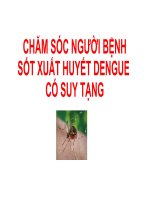Bài giảng Chăm sóc người bệnh sxh dengue có suy tạng