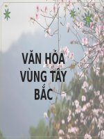 Báo Cáo  -  Cơ Sở Văn Hóa Việt Nam - Đề Tài  - Văn Hóa Vùng Tây Bắc