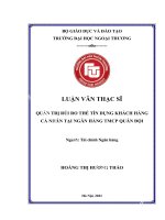 (Luận văn) quản trị rủi ro thẻ tín dụng khách hàng cá nhân tại ngân hàng tmcp quân đội