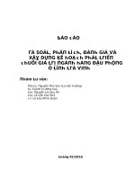 Tieu luan báo cáo rà soát, phân tích, đánh giá và xây dựng kế hoạch phát triển chuỗi giá trị ngành hàng đậu phộng ở tỉnh trà vinh