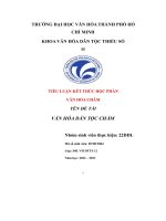 Tiểu luận kết thúc học phần văn hóa chăm tên đề tài văn hóa dân tộc chăm
