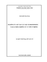 Luận văn nghiên cứu chế tạo vật liệu nanocomposite fe3o4 ac định hướng ứng dụng xử lý môi trường