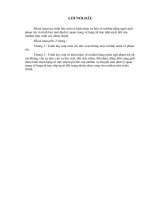 môđun bằng ngôn ngữ phạm trù và trình bày một định lý quan trọng về hạng tử trực tiếp tuyệt đối của  môđun trên vành c ác iđêan chính