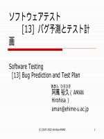 Softwaretesting 13 eng