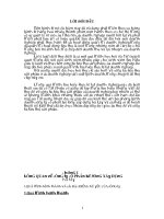 Tieu luan bao cao thuc tap tong hop cua cong ty co phan be