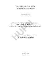 Động lực làm việc của bác sĩ khối lâm sàng và một số yếu tố ảnh hưởng tại bệnh viện ung bướu thành phố hồ chí minh năm 2022