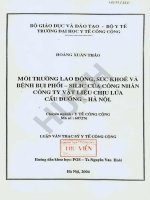 Môi trường lao động, sức khoẻ và bệnh bụi phổi   silic của công nhân công ty vật liệu chịu lửa cầu đuống   hà nội