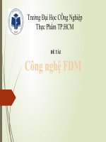 Tiểu Luận - Kỹ Thuật Chế Tạo - Đề Tài - Đề Tài Công Nghệ Fdm