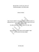 Thực trạng nhiễm và mức độ nhạy cảm kháng sinh của streptococcus agalactiae ở phụ nữ mang thai tuần 35 37 đến khám tại bệnh viện đa khoa quốc tế vinmec times city 2020 2021
