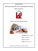 Tiểu luận vật liệu xây dựng