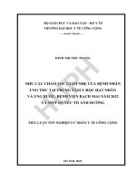 Nhu cầu chăm sóc giảm nhẹ của bệnh nhân ung thư tại trung tâm y học hạt nhân và ung bướu, bệnh viên bạch mai năm 2022 và một số yếu tố ảnh hưởng