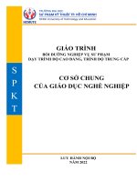 Cơ sở chung của giáo dục nghề nghiệp (giáo trình bồi dưỡng nghiệp vụ sư phạm dạy trình độ cao đẳng, trình độ trung cấp)