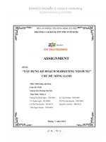 (Tiểu luận) assignment đề tài xây dựng kế hoạch marketing nội dung chủ đề  sống xanh