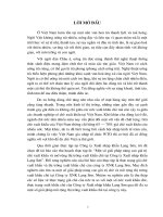 Một số giải pháp nâng cao giá trị chè xuất khẩu và mở rộng thị trường xuất khẩu chè tại công ty xuất nhập khẩu lạng sơn 1