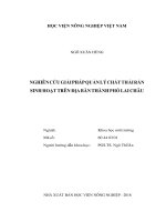 Nghiên cứu giải pháp quản lý chất thải rắn sinh hoạt trên địa bàn thành phố lai châu