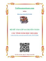 De toan vao lop 10 cac truong chuyen cac tinh nam hoc 2023 2024