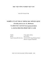 Nghiên cứu kỹ thuật trồng rau mè hàn quốc perilla frutescens l britton bằng phương pháp thủy canh