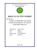 Nghiên cứu bệnh héo vàng chuối (fusarium oxysporum f  sp  cubense) tại hà nội và phụ cận
