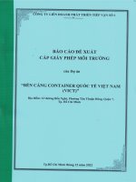 Báo cáo đề xuất cấp giấy phép môi trường của dự án bến cảng container quốc tế Việt Nam