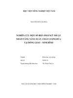 Nghiên cứu một số biện pháp kỹ thuật nhằm tăng năng suất chất lượng dứa tại đồng giao ninh bình