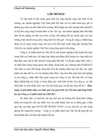 Thực trạng và giải pháp nâng cao hiệu quả của quá trình xúc tiến bán mặt hàng bánh kẹo tại công ty cổ phần bánh kẹo hải hà 1