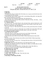 Bài 35   hệ bài tiết ở người