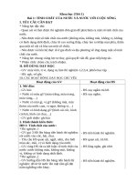 Giáo án (KHBD) Khoa học lớp 4_Kết nối tri thức (Tải trọn bộ trong file đính kèm)