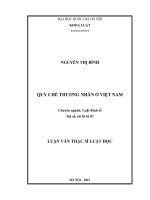 Quy chế thương nhân ở việt nam