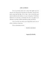 Quyết định hình phạt tù có thời hạn đối với người dưới 18 tuổi theo luật hình sự việt nam trên cơ sở thực tiễn địa bàn tỉnh phú thọ