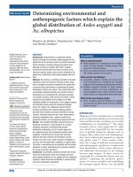 vật liệu phòng cháy chữa cháy