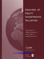 Analysis of equity investments valuation stowe